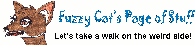 FuzzyCat