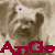 Avatar: Ange