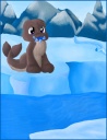 (Thumbnail of "A Seals best friend")